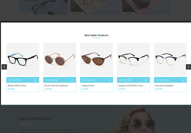 Product Slider Snippet